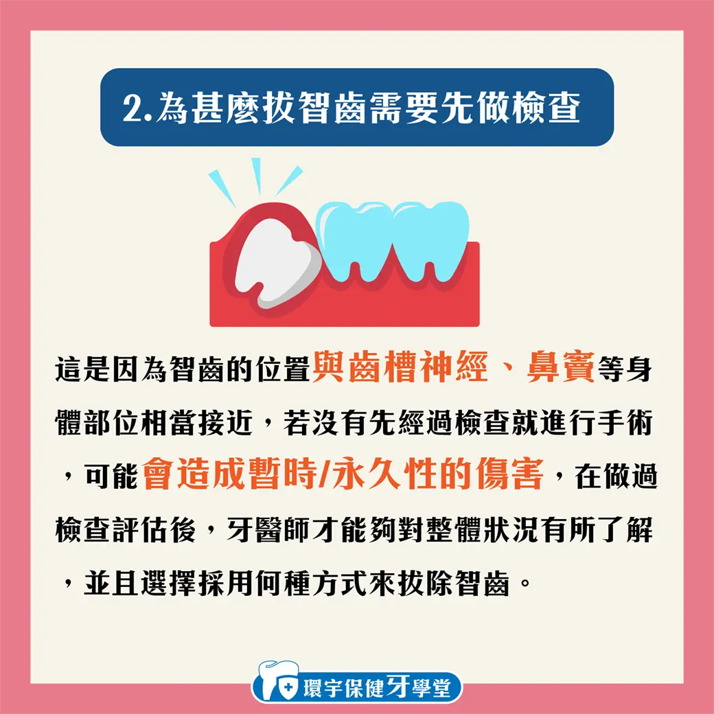 智齒要拔嗎?為甚麼會有智齒呢? 智齒要拔嗎?為甚麼會有智齒呢?