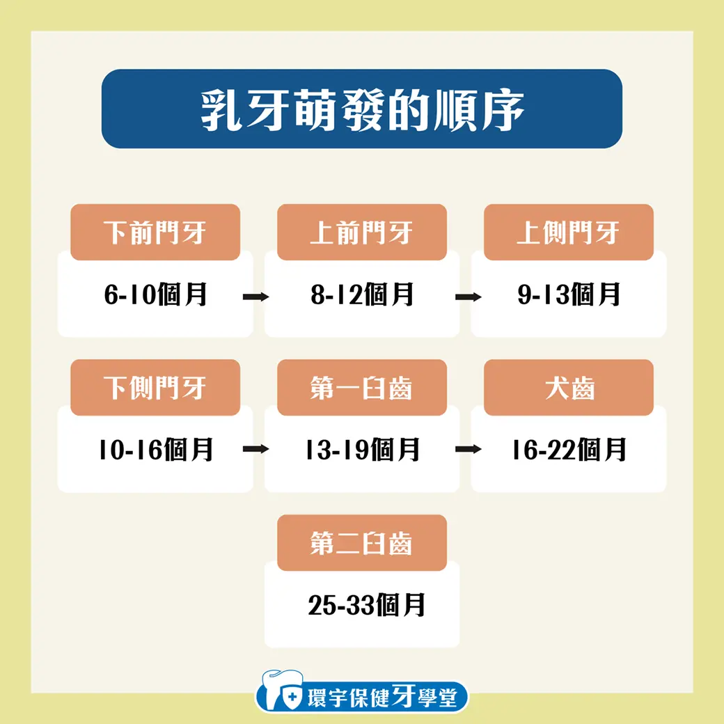 嬰兒長牙全指南:了解過程、症狀與照顧技巧 嬰兒長牙全指南:了解過程、症狀與照顧技巧