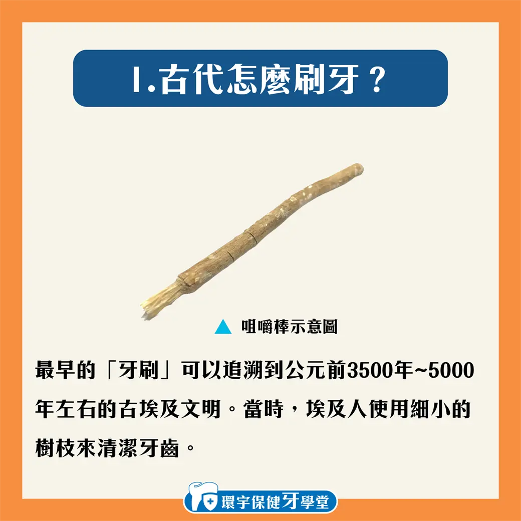 牙刷的歷史演變:從古人刷牙到現代科技的奇蹟 牙刷的歷史演變:從古人刷牙到現代科技的奇蹟