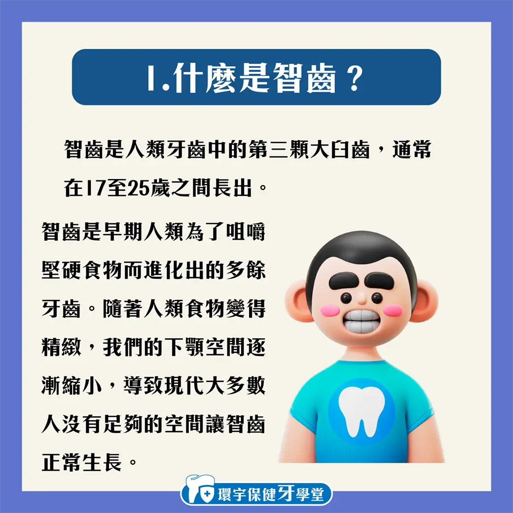 智齒拔或不拔?告訴您決定的小技巧 智齒拔或不拔?告訴您決定的小技巧