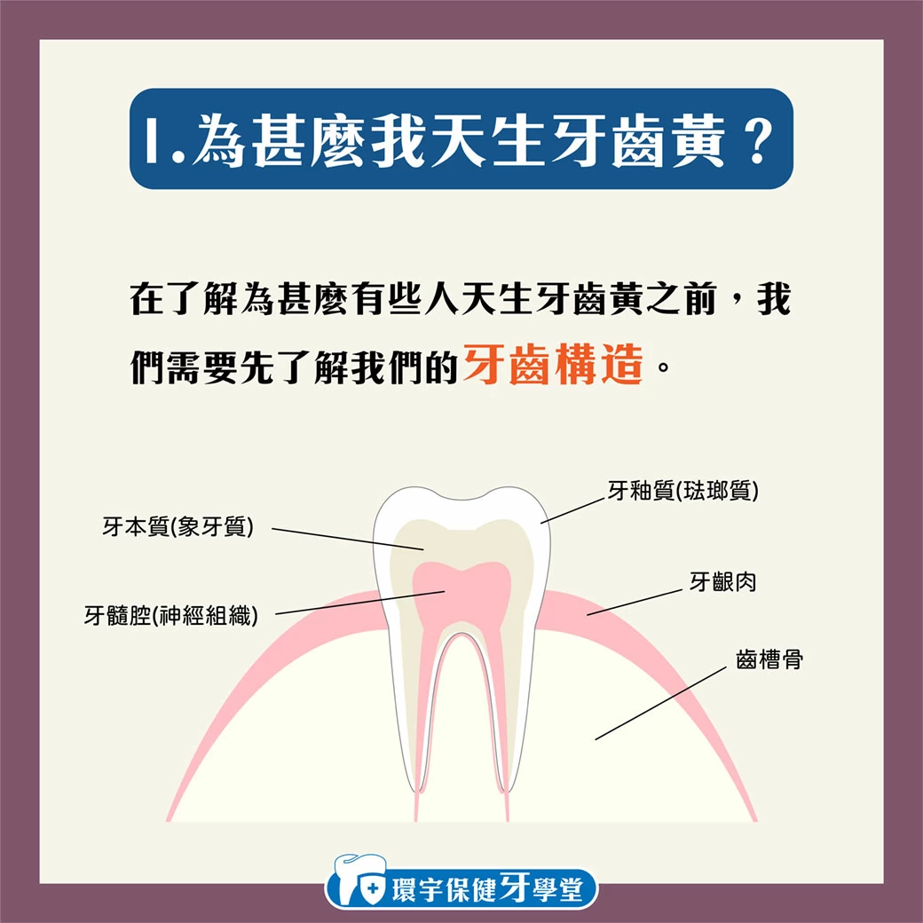 環宇保健牙學堂 - 為甚麼我的牙齒黃黃的？